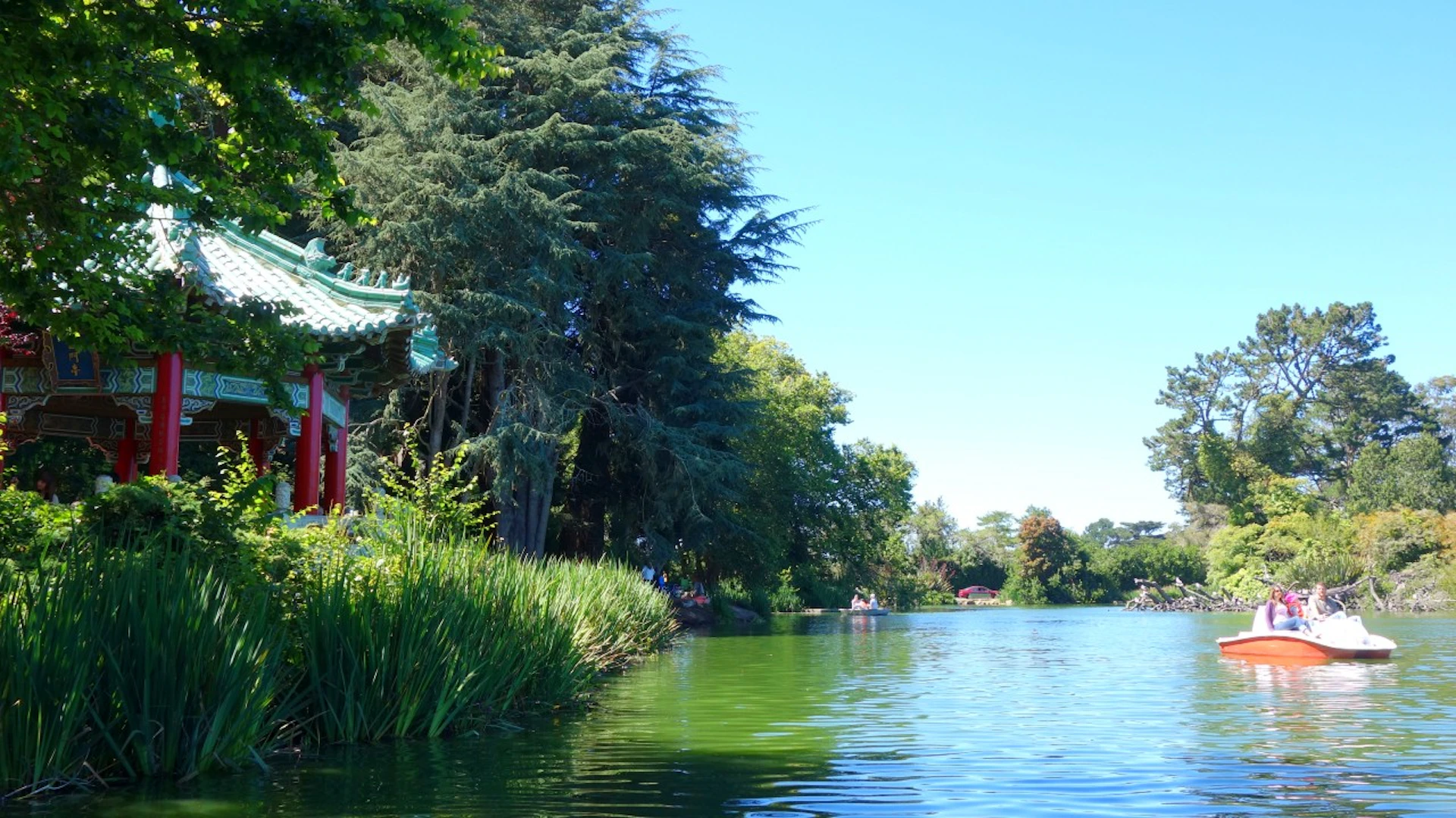 Blue Heron Lake in Golden Gate Park an ideal stop on a private Jeep Tour