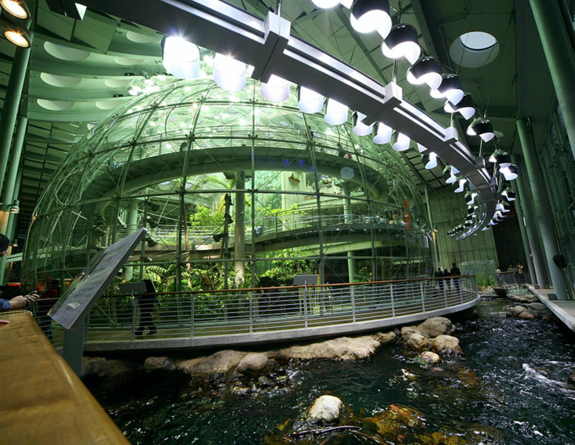 Academy of Sciences