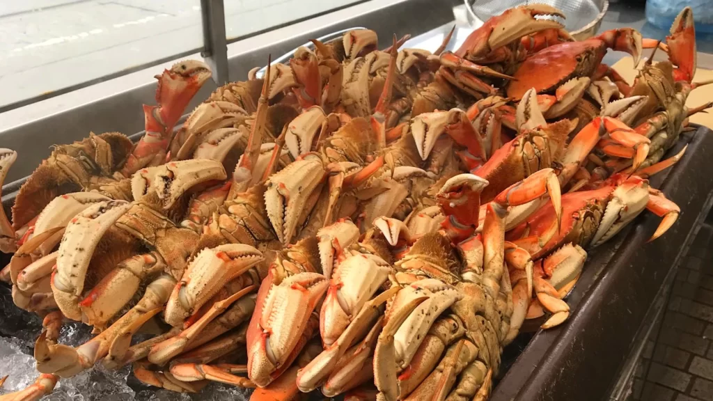 Dungerness Crabs in Fishermans Wharf San Francisco 