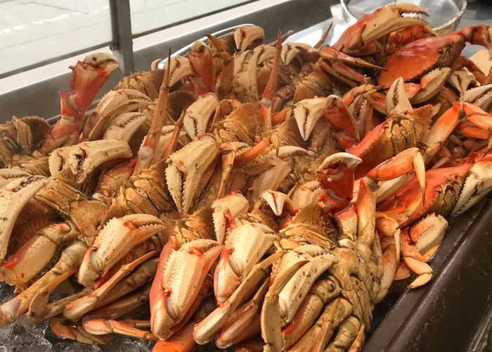 Dungerness Crabs in Fishermans Wharf San Francisco